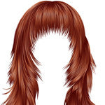 AiMi Custom Options: